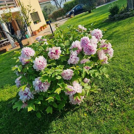 Apartament La Collina Del Riccio Ortona Zewnętrze zdjęcie