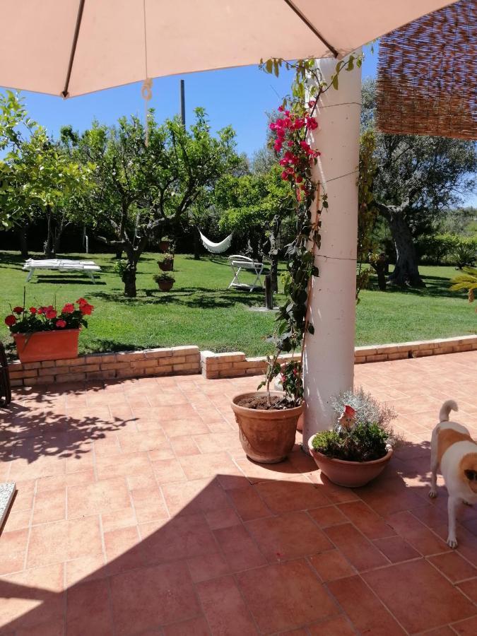 Apartament La Collina Del Riccio Ortona Zewnętrze zdjęcie