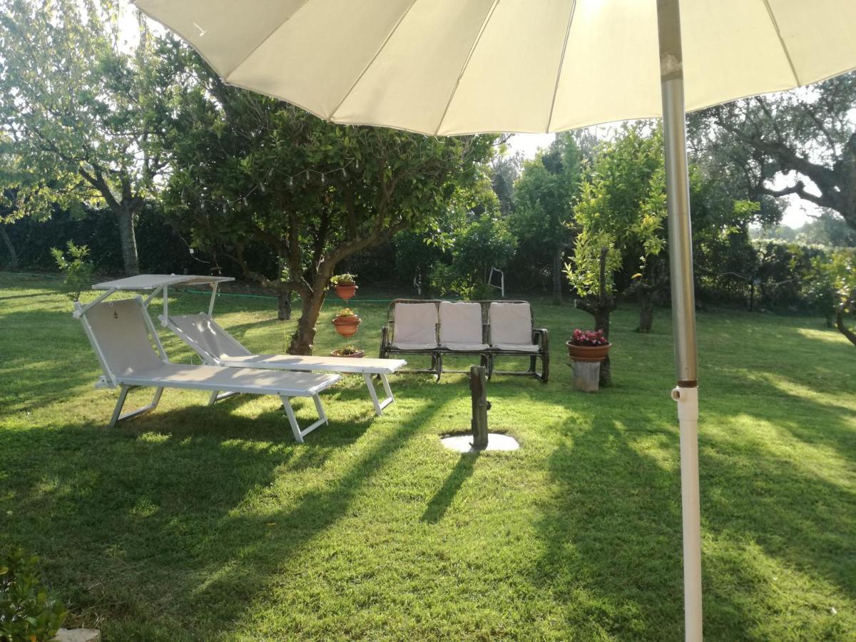 Apartament La Collina Del Riccio Ortona Zewnętrze zdjęcie