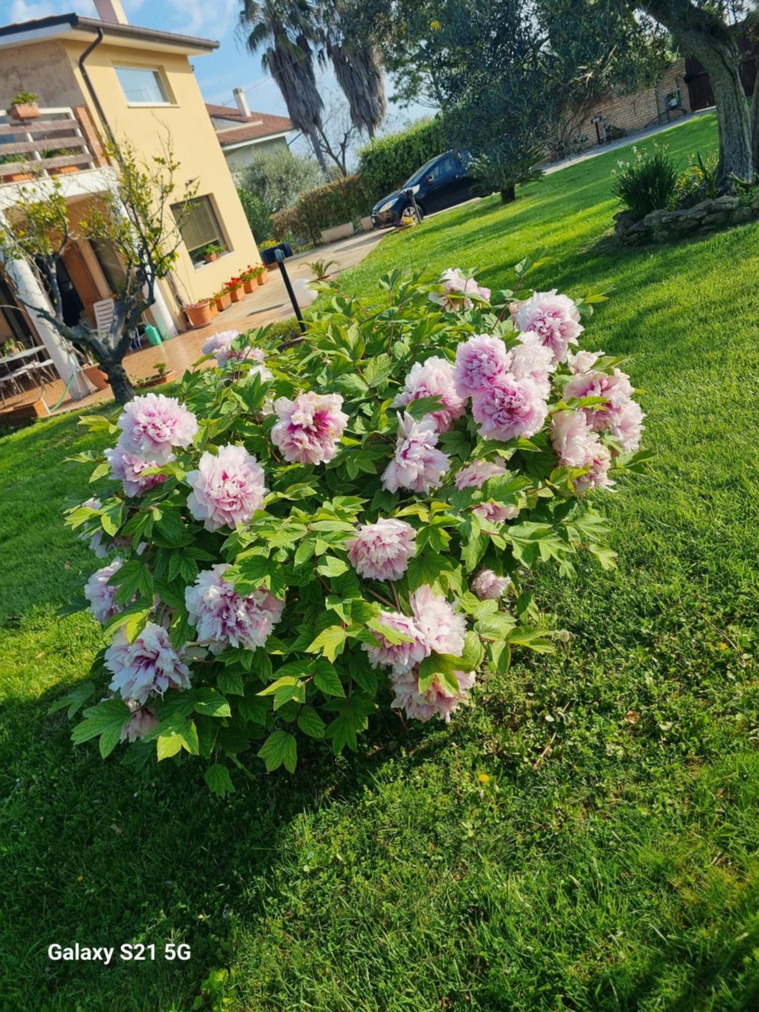 Apartament La Collina Del Riccio Ortona Zewnętrze zdjęcie