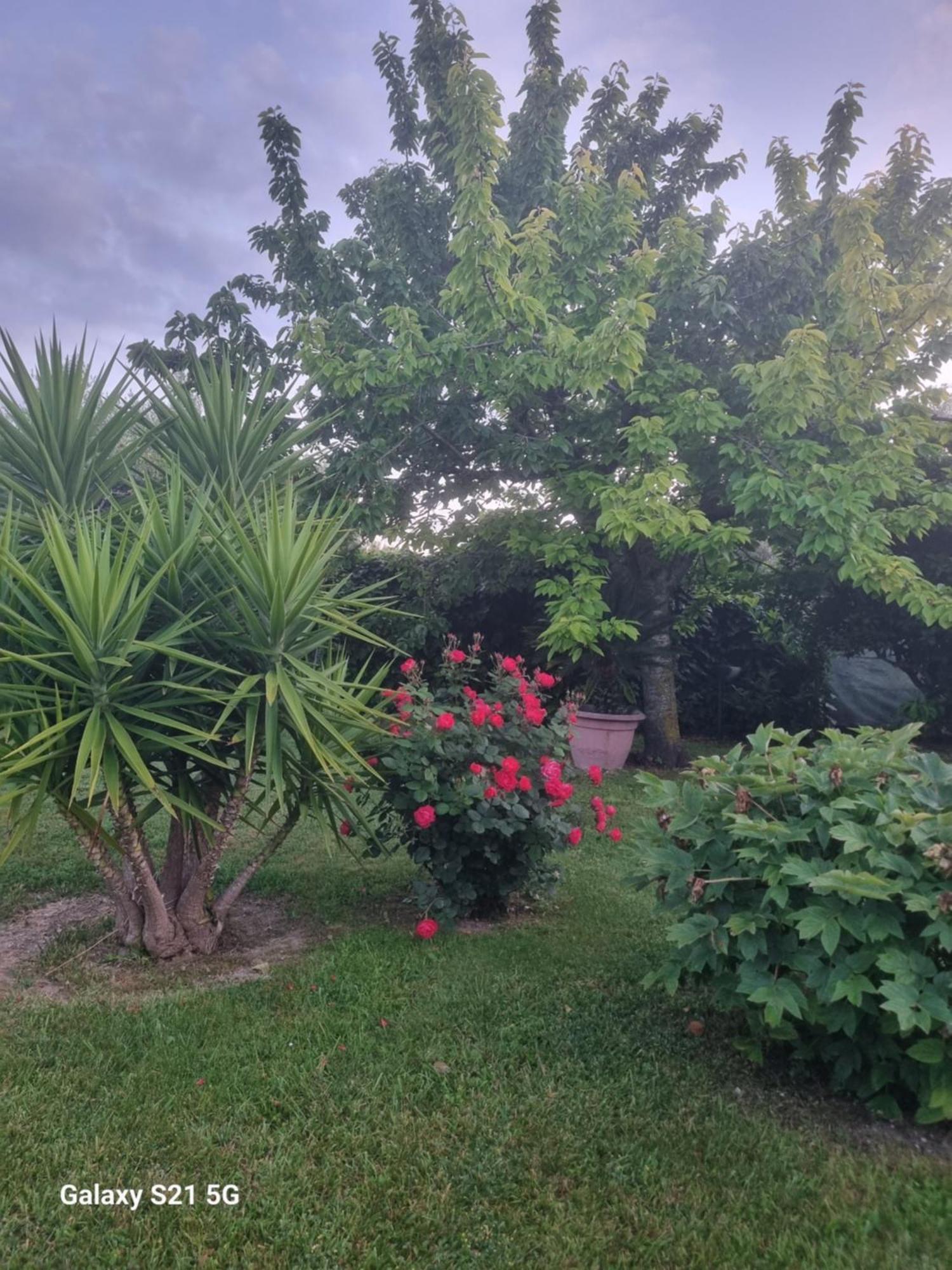 Apartament La Collina Del Riccio Ortona Zewnętrze zdjęcie