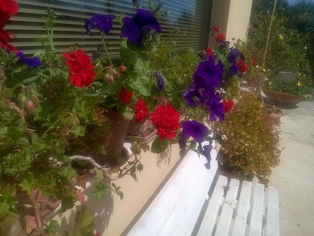Apartament La Collina Del Riccio Ortona Zewnętrze zdjęcie