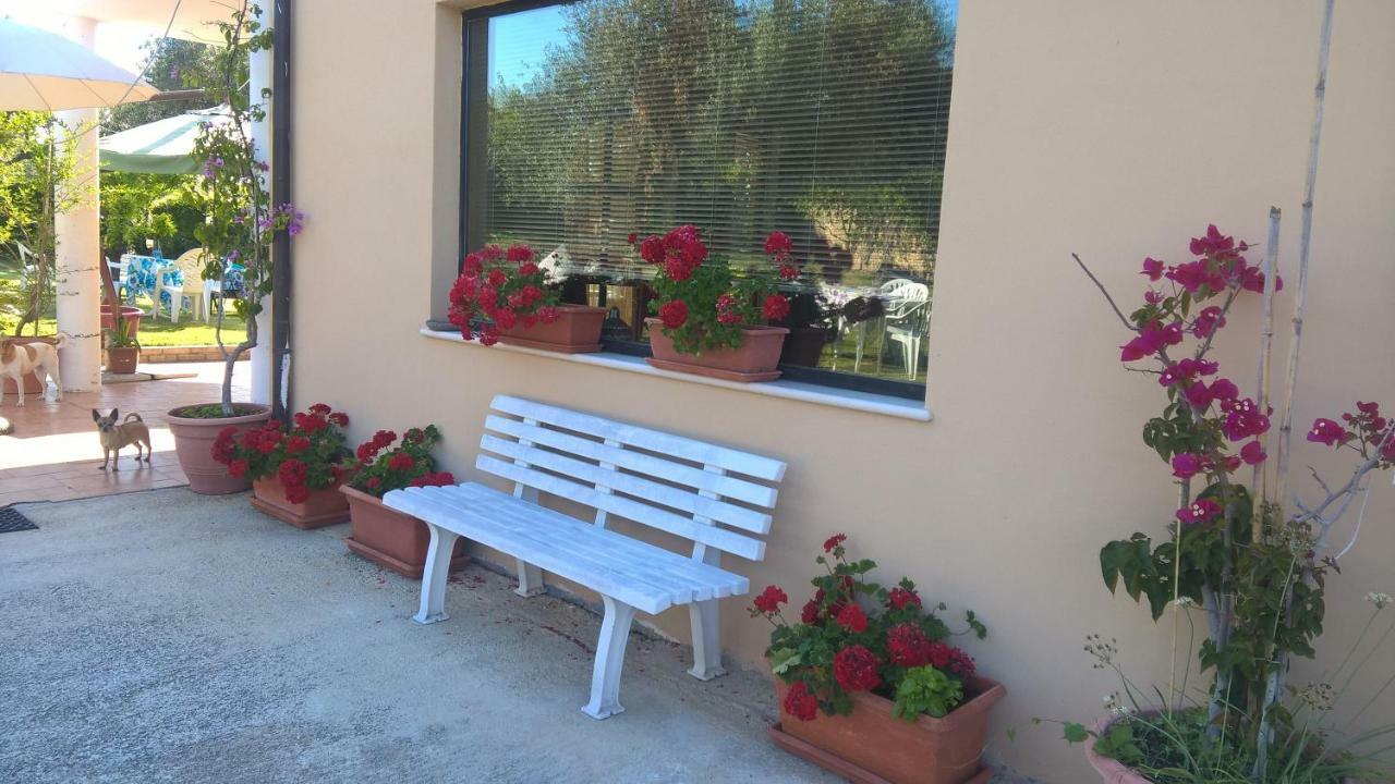 Apartament La Collina Del Riccio Ortona Zewnętrze zdjęcie