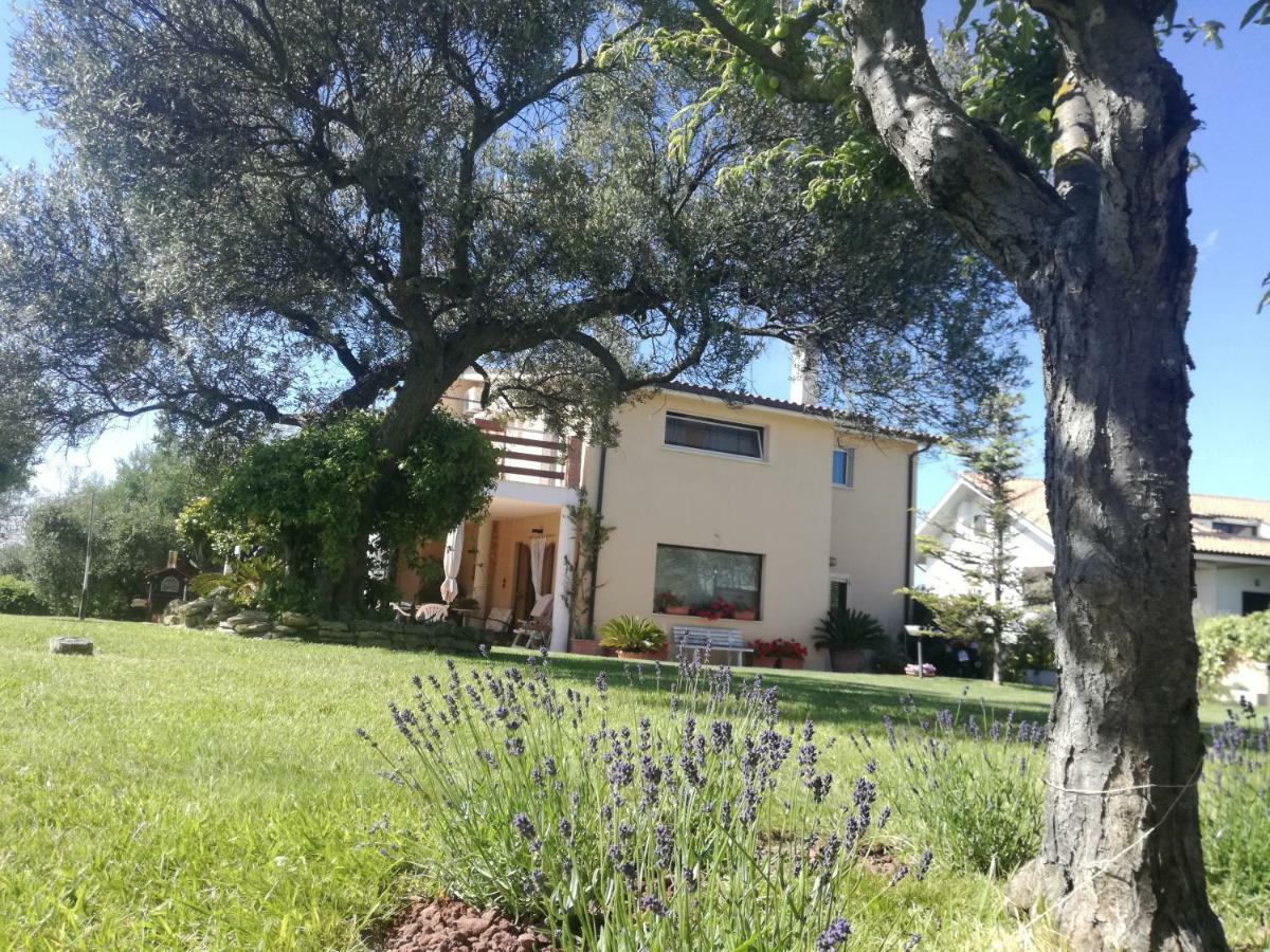 Apartament La Collina Del Riccio Ortona Zewnętrze zdjęcie