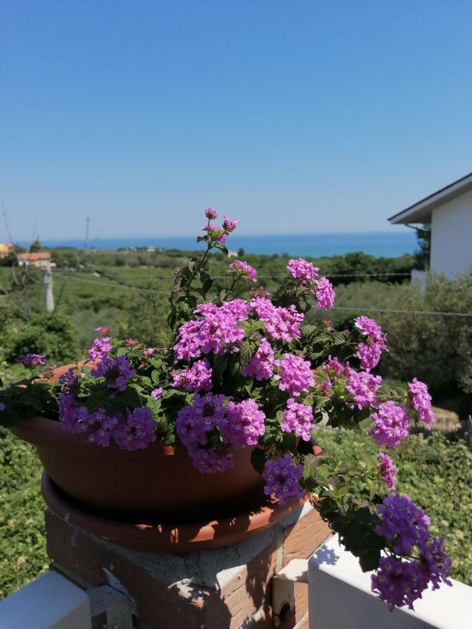Apartament La Collina Del Riccio Ortona Zewnętrze zdjęcie